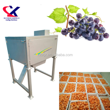 Grapefruit Core Extraction with Citrus Fruit Core Extraction Machine