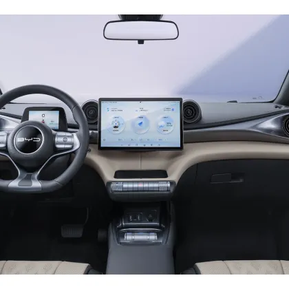 Pure electric vehicle BYD Dolphin