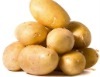 Potato