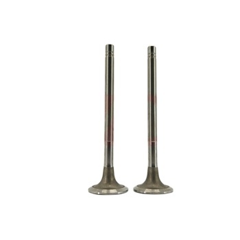 High-Quality Aftermarket Intake Valve 135957 for Cummins NTA855-G3 Diesel Engine Parts