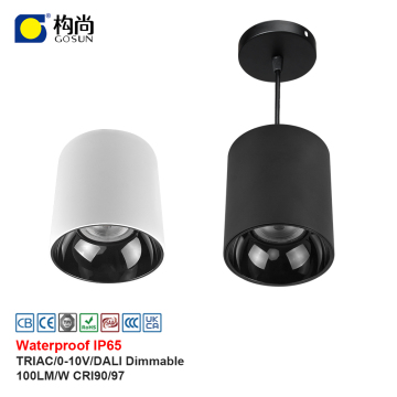 Dimmable 20W TRIAC IP65 Waterproof Pendant Lamp CRI 90-97 Surface-Mounted COB LED Downlight