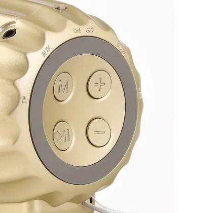 Rechargeable Wireless Bluetooth Speaker FM Radio/TF Card Speaker