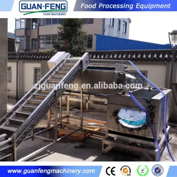 small scale frozen french fries production line