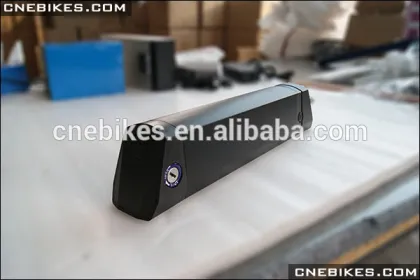 48v 9Ah LG 3c long and slim battery with charger
