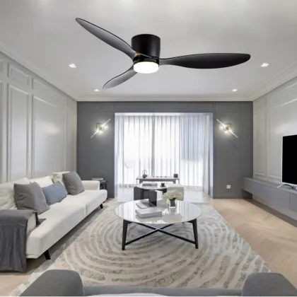 Factory Direct Inverter Fan with 6 Speeds Adjustable LED Lighting and Detachable Main Light