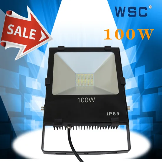 MeanWell 100-277v lighting 100w led floodlight