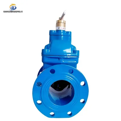 Magnetic Locking Flange Gate Valve