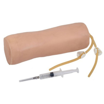 Advanced Elbow Venipuncture Medical Model - School Training Manikin SC-HS10