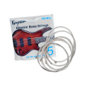 Kaysen 5 String Bass Strings Set