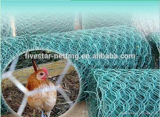 lowest price 1/4 inch galvanized chicken wire mesh 1x30M