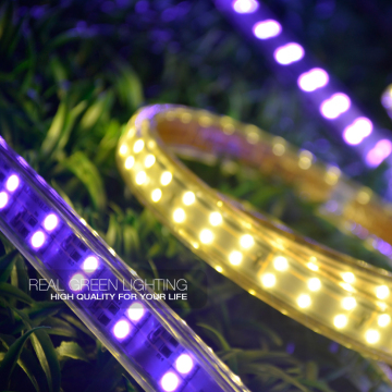 220V 5050SMD Waterproof Double Row Purple LED Flexible Strip Light