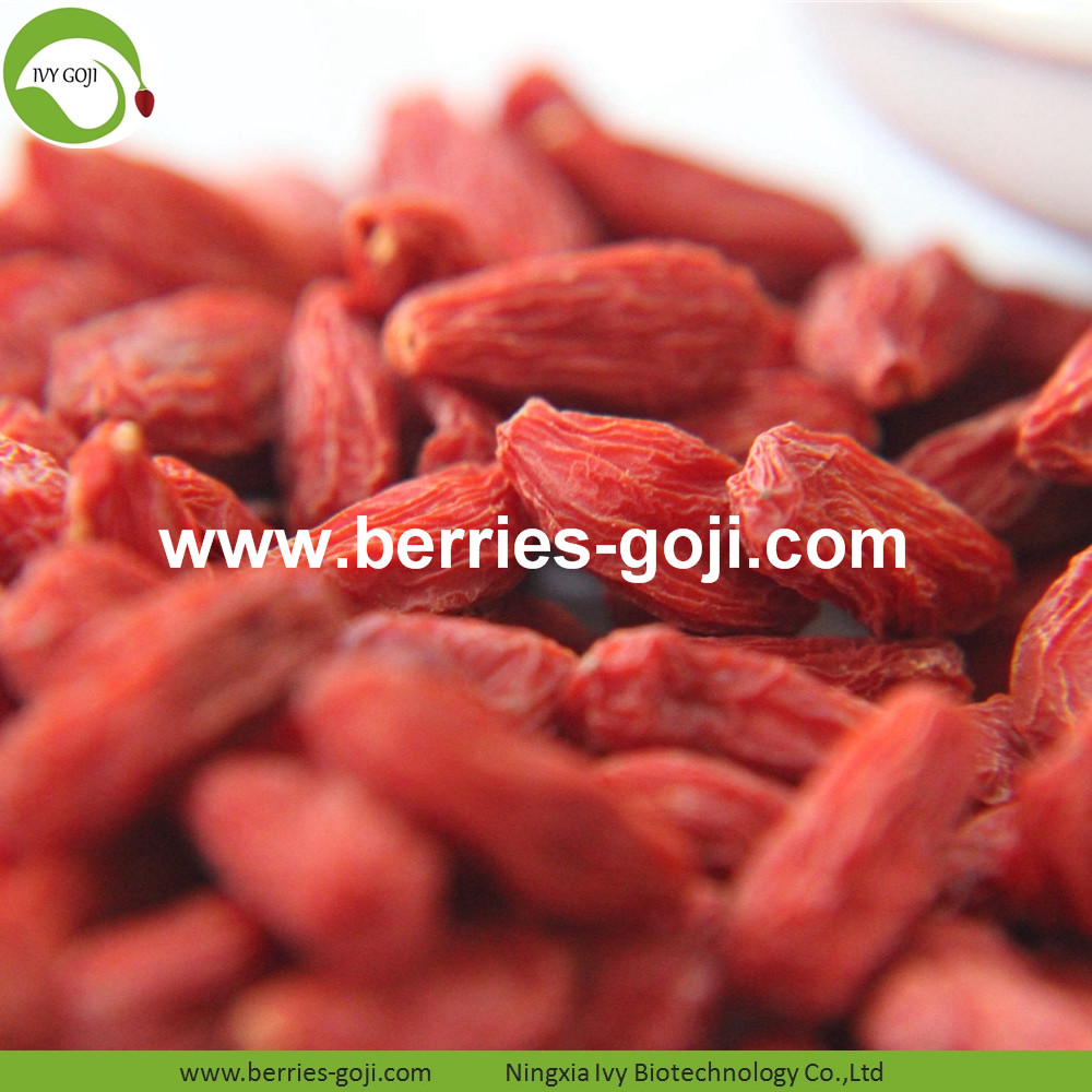 goji berry