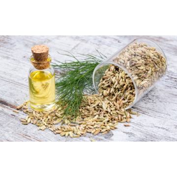 100% pure organic Sweet Fennel essential Oil