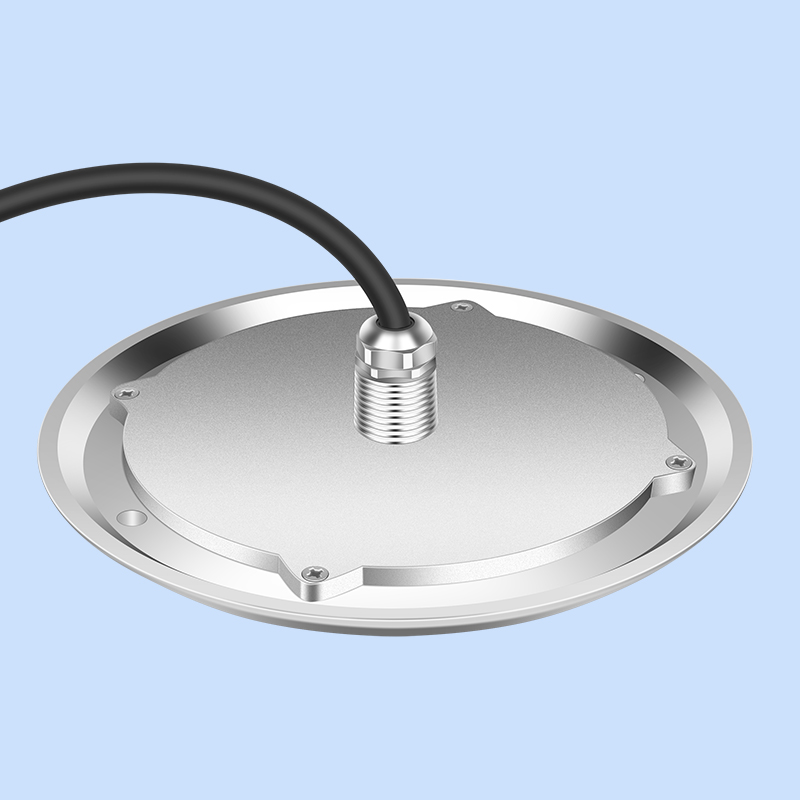 10mm 316ss 230 * 8mm DC12V Pool Light