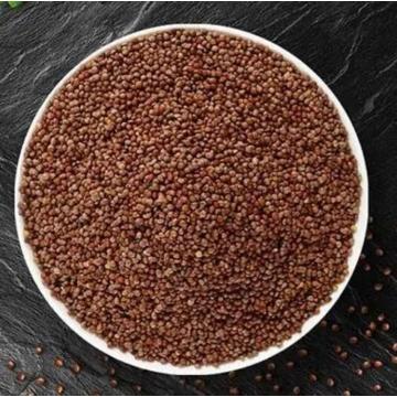 High Quality Perilla Seeds