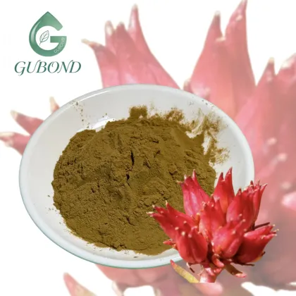 Natural Rhodiola Rosea Extract Powder Bulk