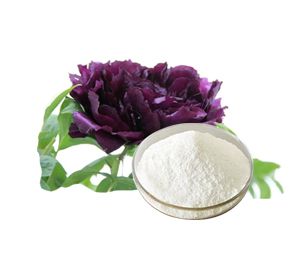 Paeonia Suffruticosa Bark Extract /Paeonol 98% Powder
