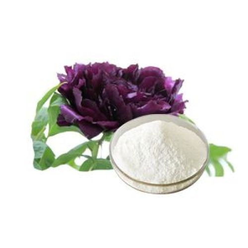 Paeonia Suffruticosa Bark Extract /Paeonol 98% Powder