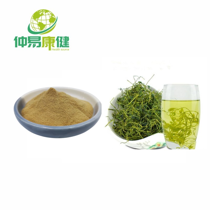 Gynostemma Pentaphyllum Extract Gynostemma gypenoside10%-98%