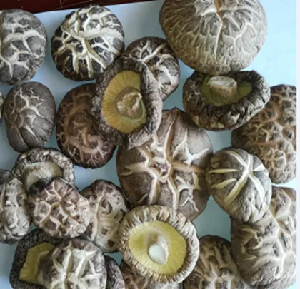 Dried White-Flower Mushroom