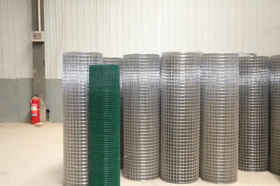 Galvanized welded wire mesh coil