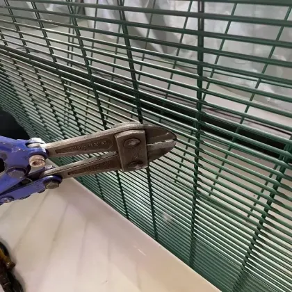 Hot Dipped Galvanized 32mm Dra Anti-Theft Anti-Climb Fence