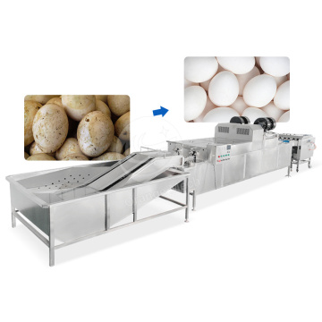 ORME Industrial Stainless Steel Egg Wash Drying Machine