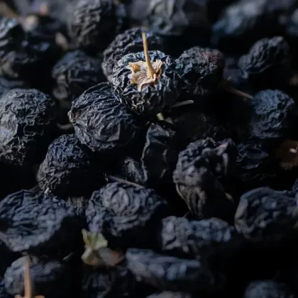 Black wolfberry powder wholesale