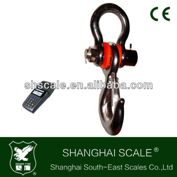 50ton Printer Crane Scale