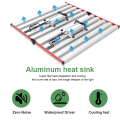 Aglex US CA Warehouse 1000W เติบโตแสง