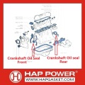 Perkins Crankshaft Oil Seal