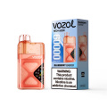 Vozol Neon 60K puffs jednokratni vape veleprodaja