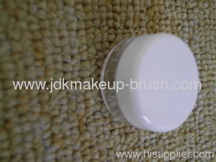 Mini Travel Makeup Kits 