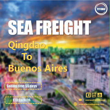 Service de fret maritime de Qingdao à San Salvador