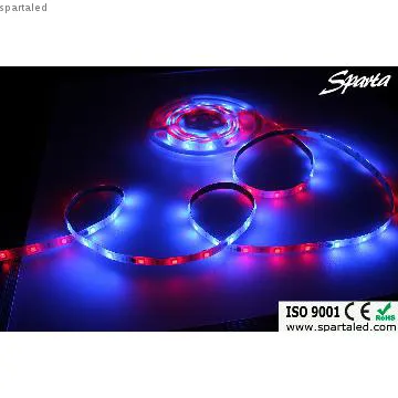 12V IP68 RGB SMD Waterproof 5050 LED Strip