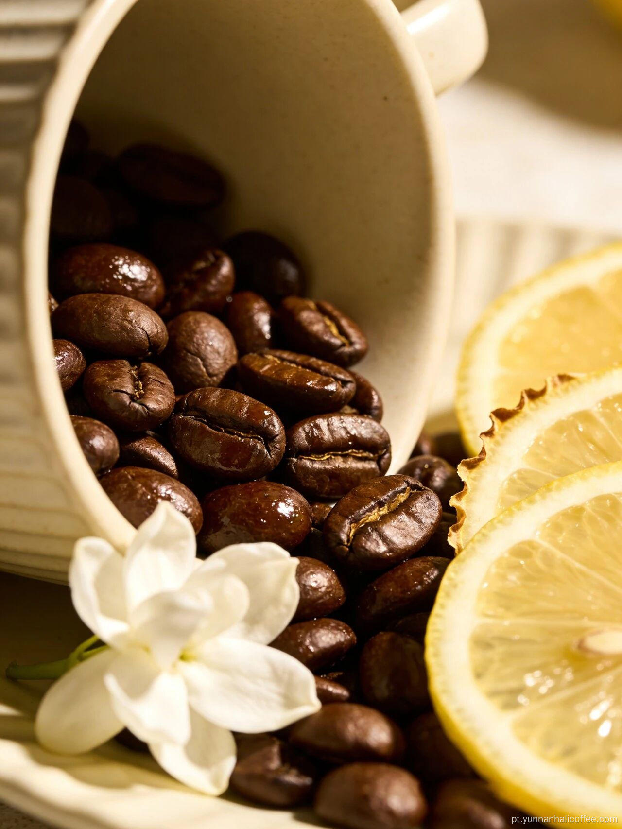 Flor Jasmim Grãos de café