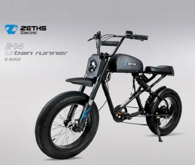 Electric Bike For Adult