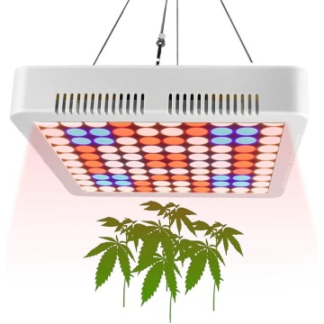 2021 Plant panel grow light 1000W