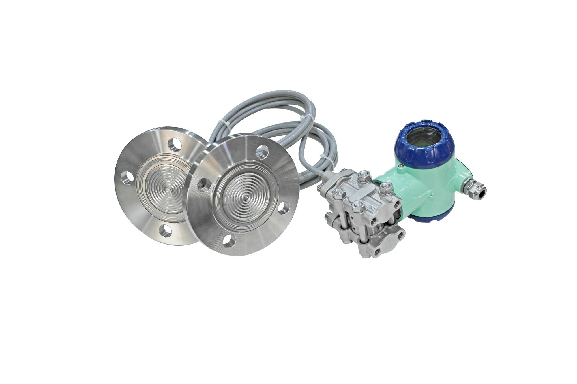 Double flange differential pressure transmitter