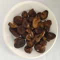 Cogumelos shiitake enlatados de qualidade
