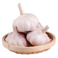 উন্নতমানের সাদা রসুনের পাইকারি দাম