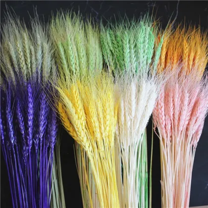 Pastoral Dried Wheat Flower Wreath - Home Decor & Event Occasion Use