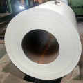 PVDF Woodland Great Coated Galvanized Steel