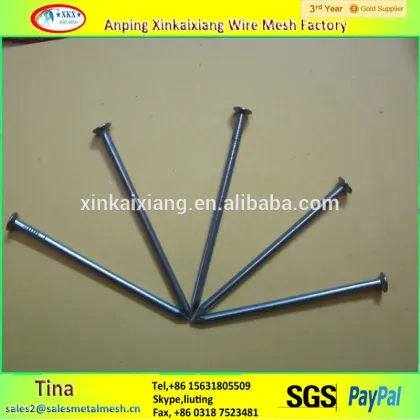 Galvanized china iron nails , common china iron nails , pure china iron nails