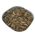 Common Sunflower Seeds Type 361 For Sale