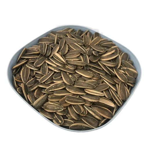 Online Seeds Of Sunflower Seeds For Sale