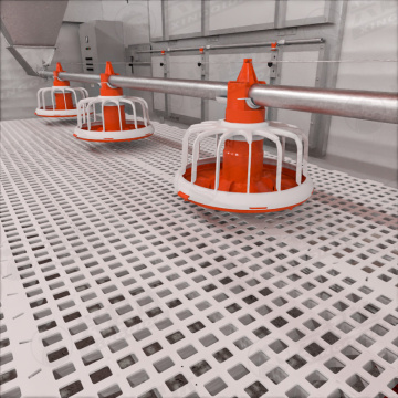 Automatic Chicken Feeding Line Equipment for Poultry Farming