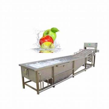 Fruit and Vegetable Bubble Cleaning Machine