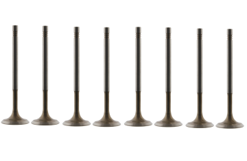 OEM Replacement Intake Valve - Fits