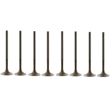 036109601 Intake Valve for Engine